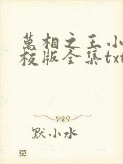 万相之王小说精校版全集txt