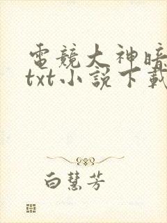 电竞大神暗恋我txt小说下载