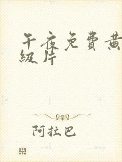 午夜免费黄色一级片