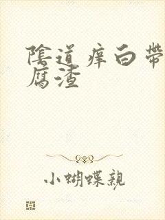 阴道痒白带呈豆腐渣