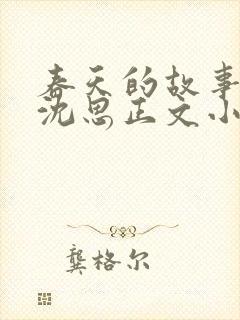 春天的故事李兵沈思正文小说