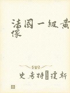 法国一级黄色录像