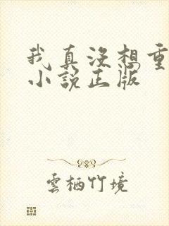 我真没想重生啊小说正版