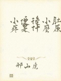 小便后小肚子胀疼是什么原因