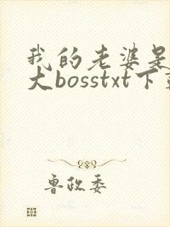 我的老婆是重生大bosstxt下载