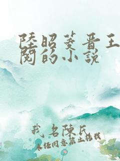 陆昭菱晋王周时阅的小说