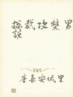 总裁攻双男主小说