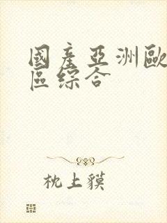 国产亚洲欧美二区综合