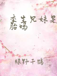 孪生兄妹是双胞胎吗