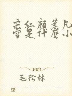 宋红颜叶凡唐若雪是什么小说