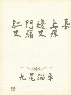 肛门边上长疙瘩又痛又痒