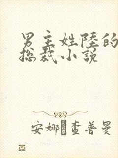 男主姓陆的霸道总裁小说