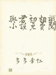 与君初相识原著小说免费阅读