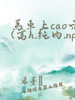 马车上cao穴(高h,纯肉,np)