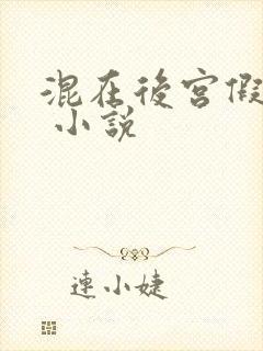 混在后宫假太监 小说