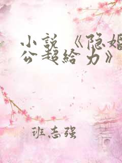 小说 《隐婚老公超给力》