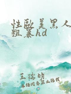 性欧美黑人4p粗暴hd