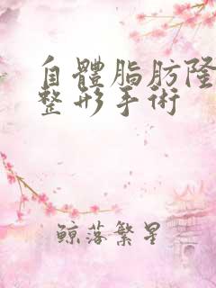 自体脂肪隆胸胸整形手术