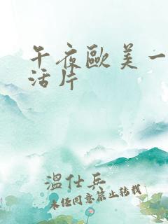 午夜欧美一级生活片