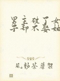 男主破了女主身子却不娶她的小说