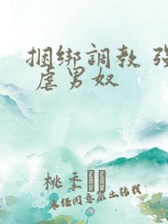 捆绑调教 强制 虐男奴