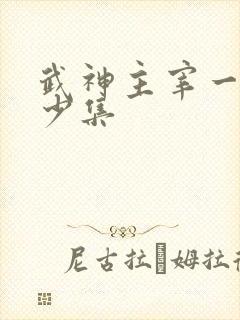 武神主宰一共多少集