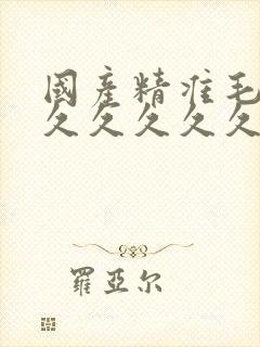 国产精准毛片久久久久久久av