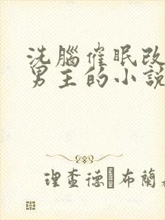 洗脑催眠改造双男主的小说