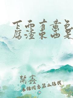 下面有黄色的豆腐渣东西是什么