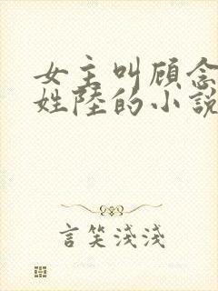 女主叫顾念男主姓陆的小说