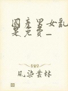 国产男女乱淫真是免费_