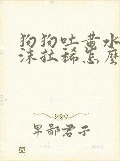 狗狗吐黄水带泡沫拉稀怎么办