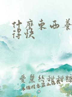 什么东西养牛长得快