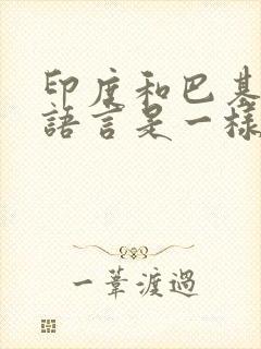 印度和巴基斯坦语言是一样的吗