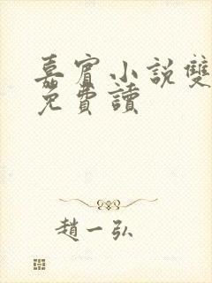 嘉宾小说双女主免费读