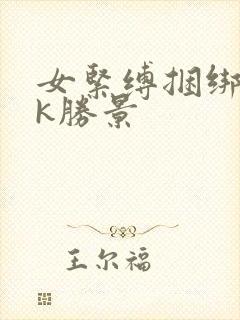 女紧缚捆绑丨vk胜景