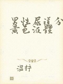 男性尿道分泌淡黄色液体