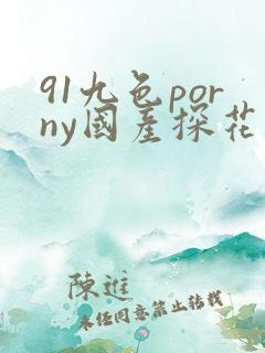 91九色porny国产探花
