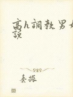 高h调教男奴小说