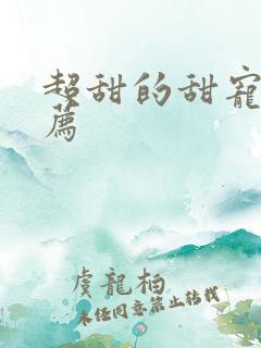 超甜的甜宠剧推荐