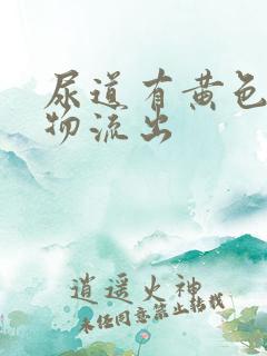 尿道有黄色分泌物流出