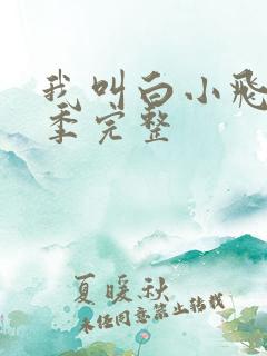 我叫白小飞第三季完整