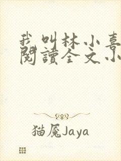 我叫林小喜免费阅读全文小说