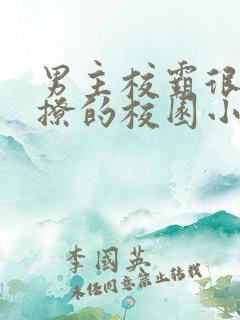 男主校霸很痞很撩的校园小说