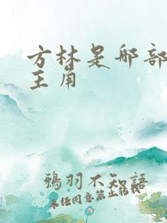 方林是哪部小说主角