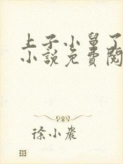 上子小舅了老婆小说免费阅读