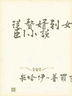 从赘婿到女帝宠臣l小说