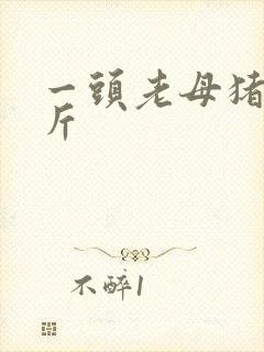 一头老母猪多少斤