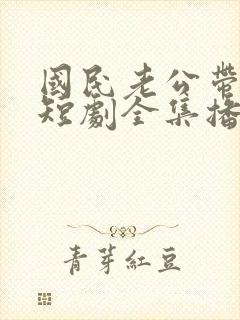 国民老公带回家短剧全集播放