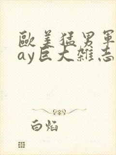 欧美猛男军人gay巨大杂志